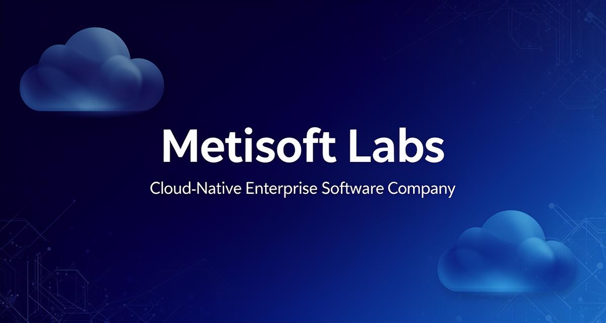 Metisoft Labs Pvt Ltd